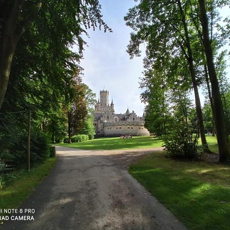 Ferienwohnung Colin Im Schoenen Weserbergland Naehe Freizeitpark Salzhemmendorf المظهر الخارجي الصورة