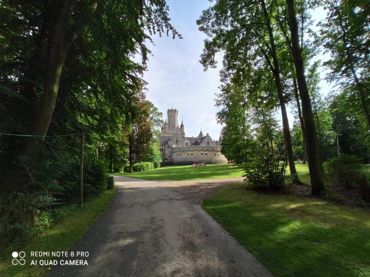 Ferienwohnung Colin Im Schoenen Weserbergland Naehe Freizeitpark Salzhemmendorf المظهر الخارجي الصورة